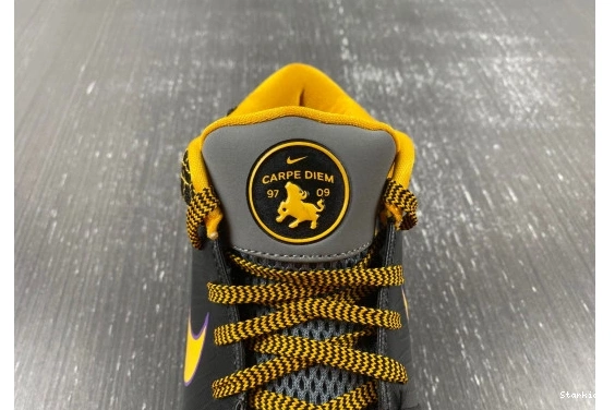  Kobe 4 Carpe Diem Protro AV6339-001  Nike 1202